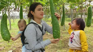 Harvesting Gourds Goes to the market to sell & Prepare dishes from Gourds (Gourd Stuffed With Meat)