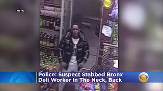 Police: Suspect Stabbed Bronx Deli Worker In The Neck