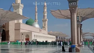 Bula Lo Phir Mujhe🥺 By Owais Raza Qadri || world best naat shareef || Madinah yaad aata hein.