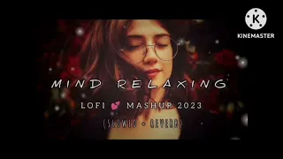 mind relaxing lofi🩷️mashup 2024 slowed reverb arijit singh