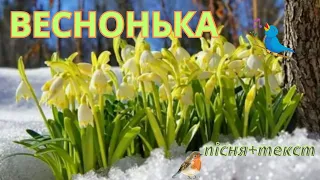 Веснонька/ пісня+текст