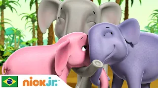 Patrulha Canina | Os filhotes salvam uma família de elefantes | Nick Jr. em Português