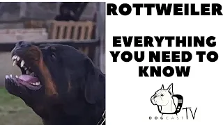 The ROTTWEILER - Everything You need to know! DogcastTV!