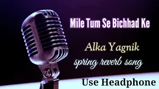 Mile Tum Se Bichhad Ke Hum Full Spring Reverb Song By Alka Yagnik