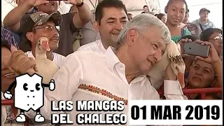 Las Mangas del Chaleco: AMLO y los gansos. Aprueban la Guardia Nacional. Y la subasta de autos.