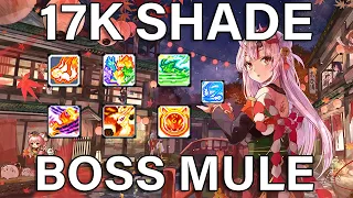 [GMS Reboot] 17k Shade Boss Mule