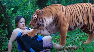 the girl needs her tiger help xia xav tau tus tsov pab