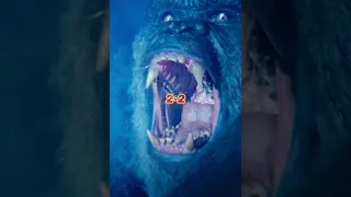 Kong vs King Ghidorah (GodzillaGamer Battles) #godzillakotm #godzillavskong #kingghidorah #kingkong