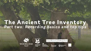 How to record ancient trees - top tips | ATI Part 2