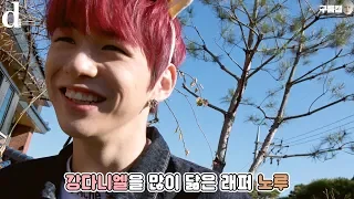 [D아이콘] "구름캠과 노루가 만났을 때" (워너원 : WANNAONE)