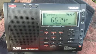 Tecsun pl 660 (6674 kHz. USB)