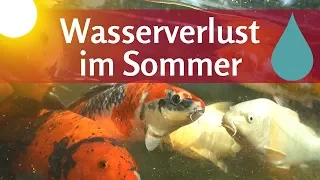 Teichwasser verdunstet im Sommer: Wie viel Wasserverlust im Teich?