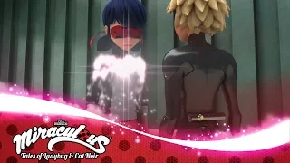 MIRACULOUS | 🐞 DARK OWL 🐞 | Tales of Ladybug and Cat Noir