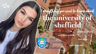everything you need to know about the university of Sheffield! friends, nightlife, courses & more...