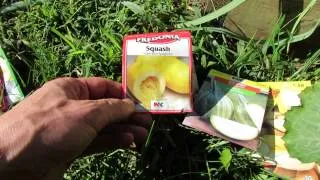 Quick introduction to Squash Varieties & Round Zucchini: My 1st Vegetable Garden - MFG 2013