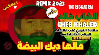 Cheb Khaled reggae 2023 - malha dik bayda  الشاب خالد - مالها ديك البيضة   reggae remix 2023