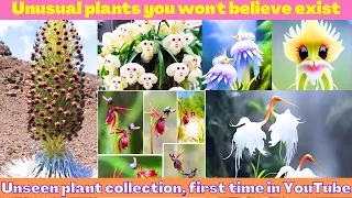 10 Unusual plants you won't believe exist | You have never seen these Plants before today