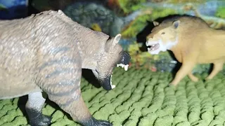 Hyaenodon VS Daeodon