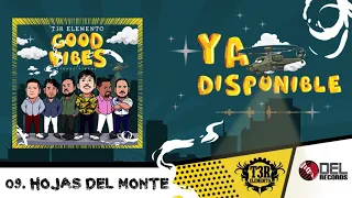 Hojas del Monte - T3R Elemento - " Good Vibes" (Buenas Vibras) - DEL Records 2019