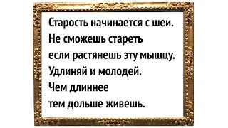 Не сможете стареть, если растянете эту мышцу. Тяните и молодейте. Чем длиннее, тем дольше живешь 👍