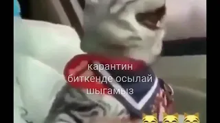 Это когда куда-то едешь без детей...