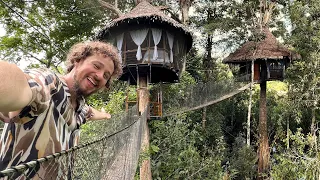 Este hotel está construido sobre ÁRBOLES | Tree Lodge Amazonas