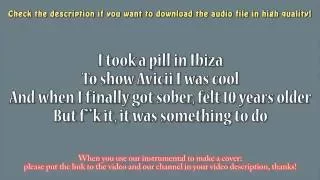 Mike Posner - I Took A Pill In Ibiza (Guitar Instrumental) Karaoke