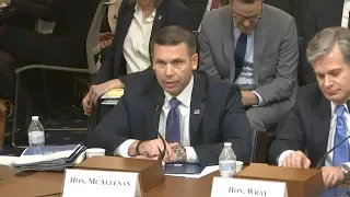 Outgoing acting DHS chief McAleenan will stay on 'if necessary'