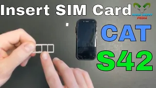 Caterpillar CAT S42 Insert The SIM Card