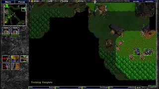 Warcraft 2 28.1.2024