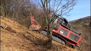 AHWI RT400 im Steilhang - Gehölzrodung - Fa. Heiss