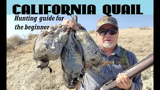 How to hunt California Quail