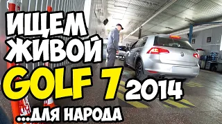 Ищем живой Volkswagen Golf 7 для народа.