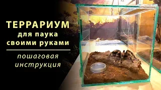 Как сделать террариум своими руками. Пошаговая инструкция