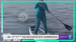 Florida woman has close encounter with hammerhead shark