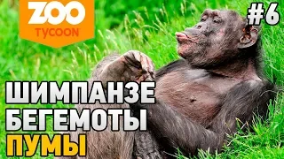 Zoo Tycoon: Ultimate Animal Collection #6 Шимпанзе,бегемоты,пумы