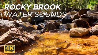 Relaxed Rocky Brook Water Sounds For Study, Work, Meditation