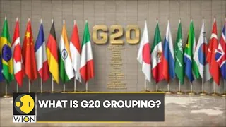 G20 Summit 2022: Everything you need to know about the G20 grouping | Top News | World News