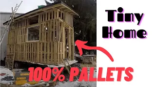 Building a tiny house with 80 FREE pallets. (part 1)