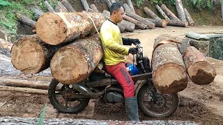 Joki Ojek Balap93 dari Cilacap Barat mengangkut Log pinus super berat dari hutan menggunakan RX king