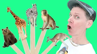 Wild Animals | Pop Sticks Song with Matt | Dream English Kids