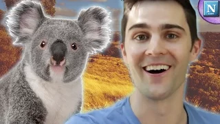 Why Australian Animals Are So Weird?: Aussie Animal Trivia