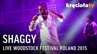 Shaggy LIVE Woodstock Festival Poland 2015 (FULL CONCERT)
