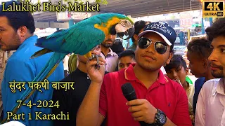 Lalukhet Exotic Birds Market 7-4-24 Karachi | Hen and Rooster Part 1 | سوق الدجاجة والديكة