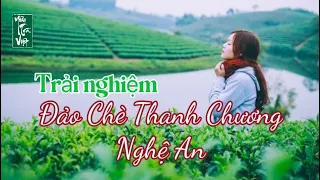 Trải nghiệm Đảo chè Thanh Chương - Nghệ An