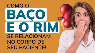 Como o BAÇO E O RIM se relacionam no corpo de seu paciente!