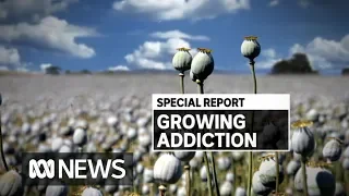 How Tasmania wound up in the middle of America's biggest drug crisis | ABC News