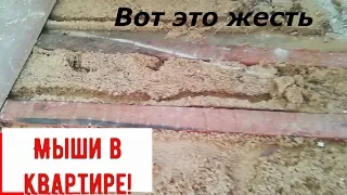 Ремонт в ХРУЩЁВКЕ!!! Обзор спустя две недели