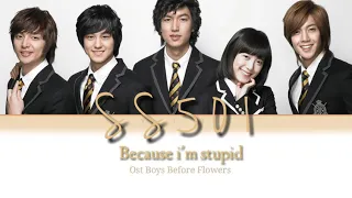 Because I'm Stupid - SS501 ost Boys Before Flowers Lyrics [ Rom/ Indo Sub]