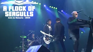 A Flock Of Seagulls Live in Ontario with The Spoons 2019 - FULL CONCERT - Space Age Love Concert